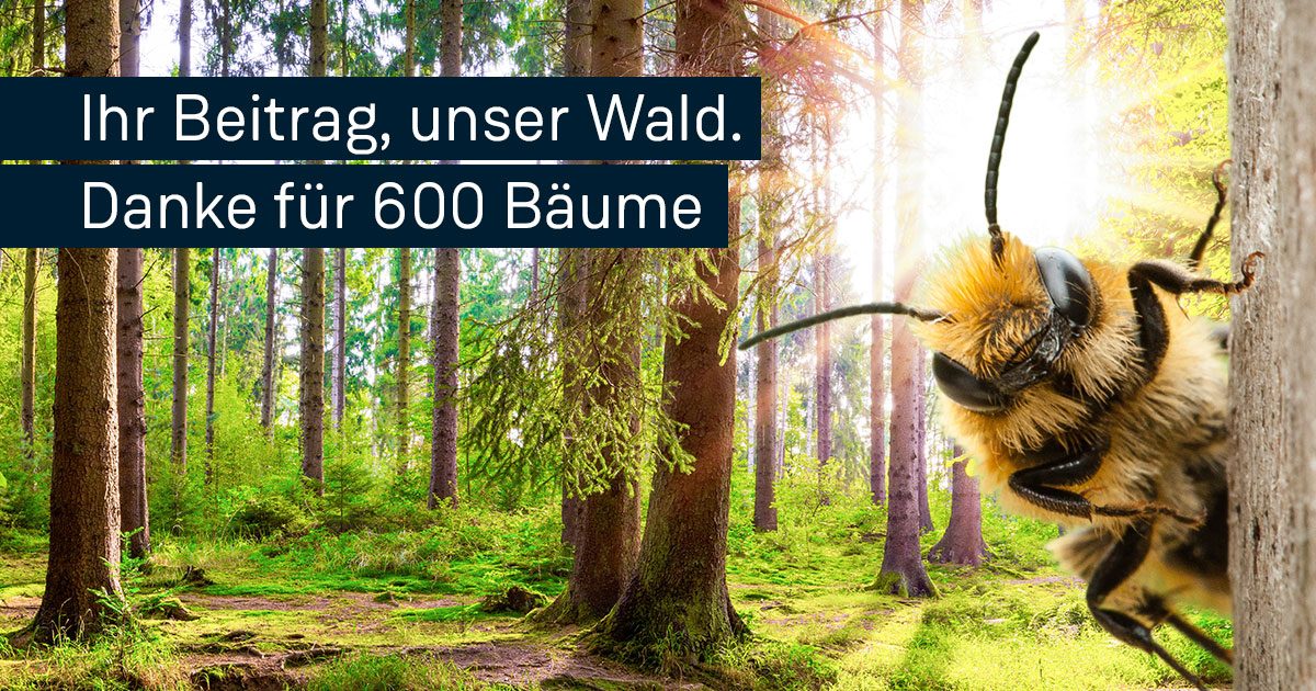 auxalia Wald: 2.500 m² neuer Lebensraum mit 600 Bäumen