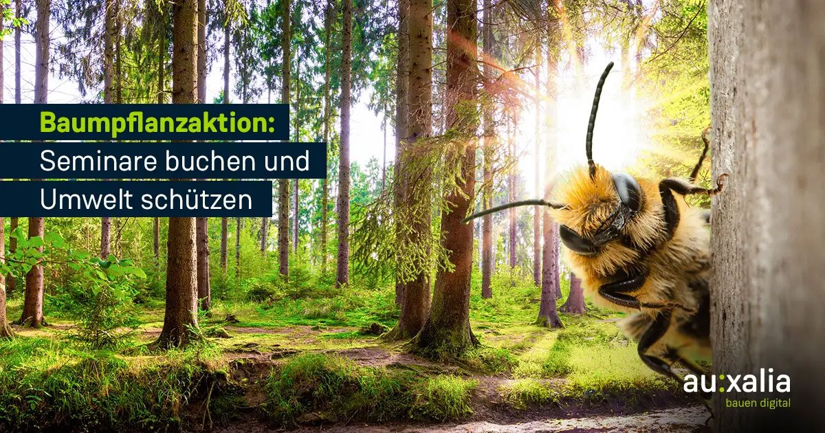 Baumpflanzaktion: Seminare buchen und Umwelt schützen