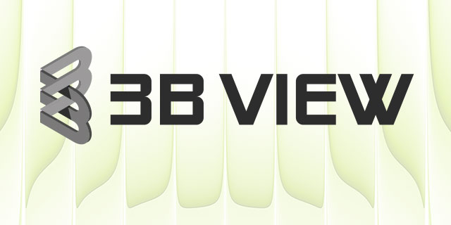 3B View